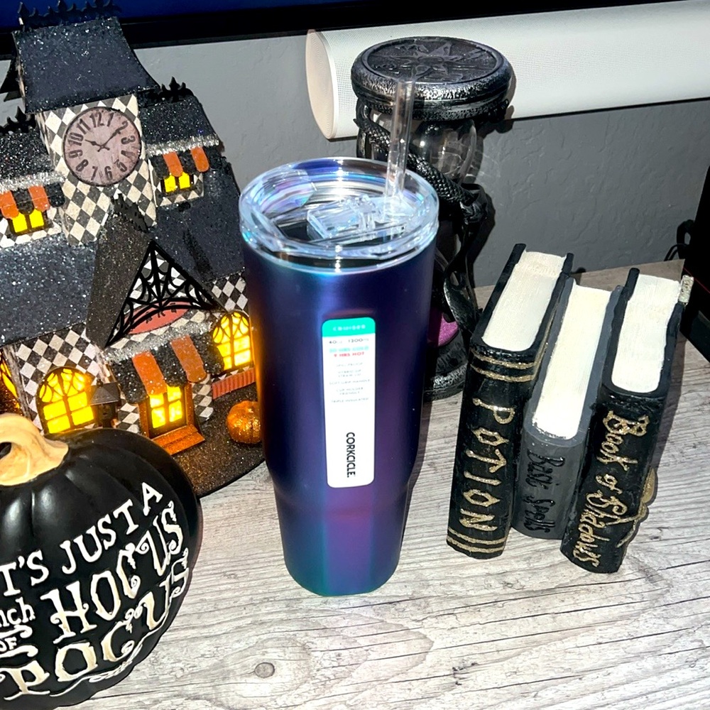 ❣️NWT❣️40oz Dragonfly CRUISER
INSULATED TUMBLER WITH HANDLE